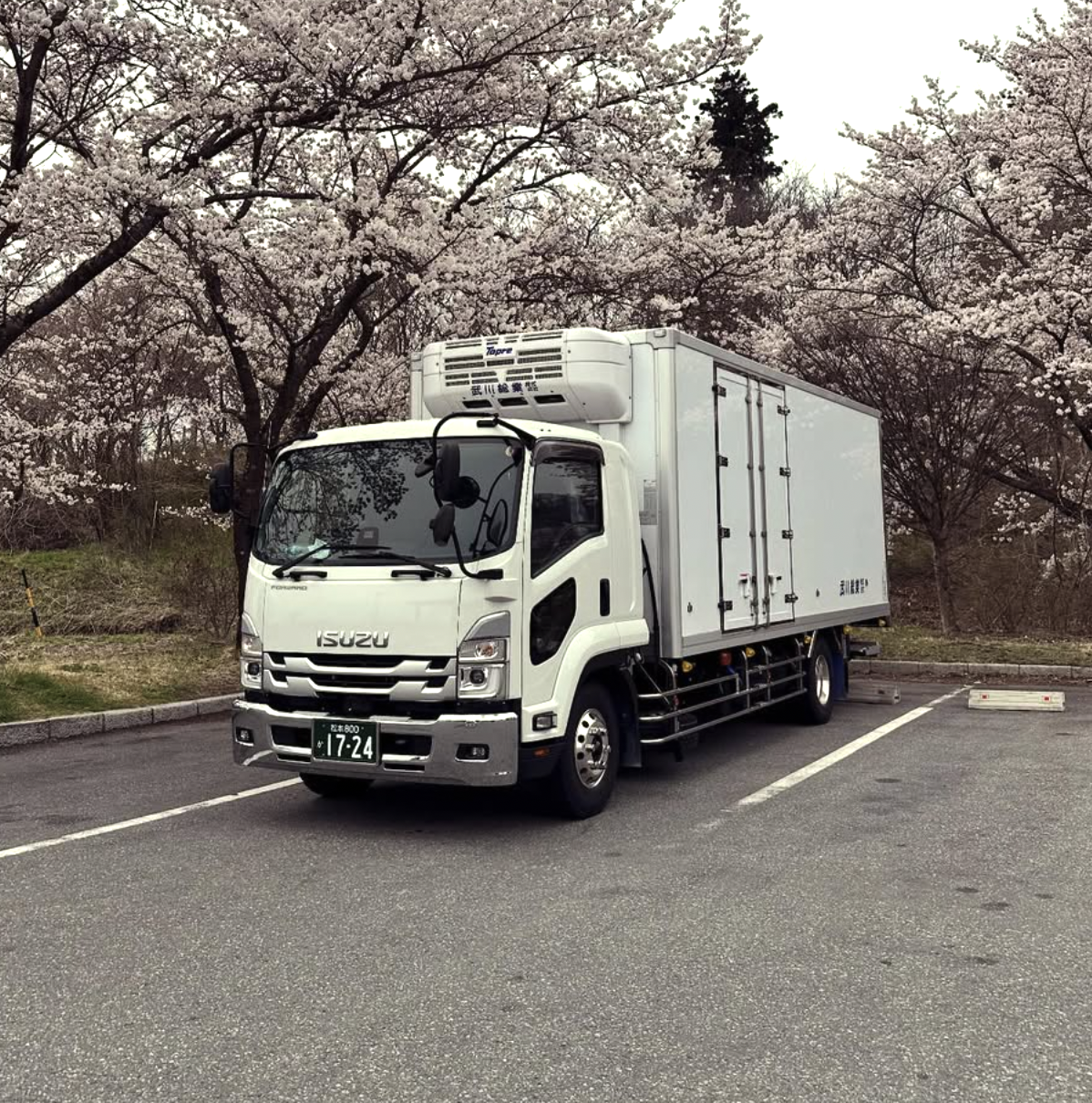 桜並木の下に停車する武川総業の冷凍車（ISUZU FORWARD）